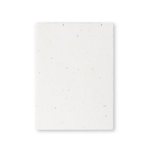 Bloc Notas Semillas Zomek - BLANCO