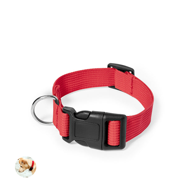 Collar Mastif