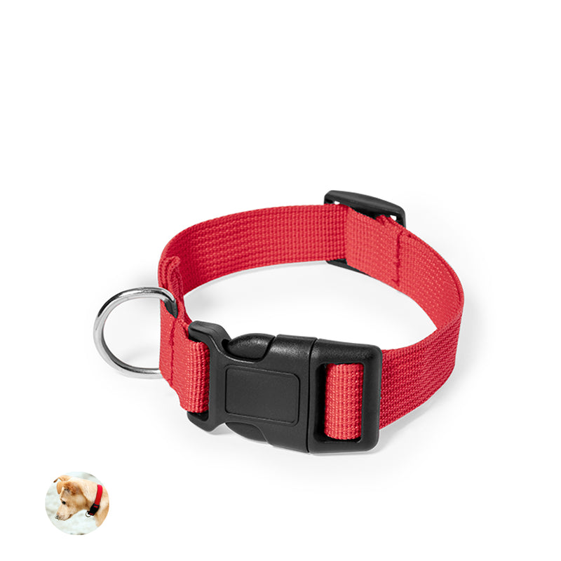 Collar Mastif