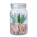 Planta Decorativa Kyala - S/C