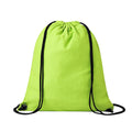 Mochila Arlequix - VERDE CLARO