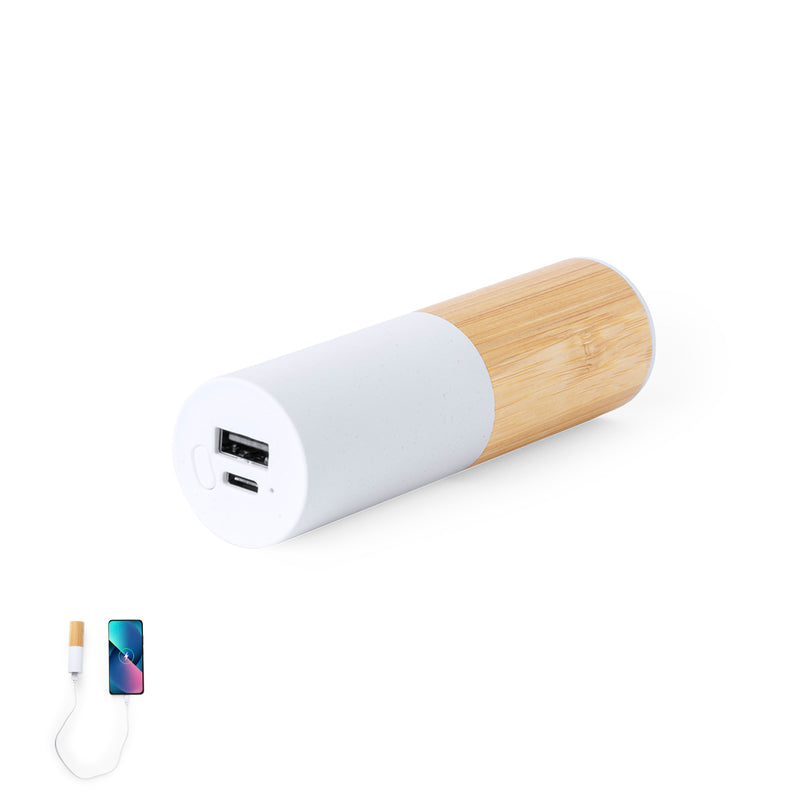 Power Bank Reneh