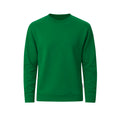 Sudadera Adulto Skelton - VERDE