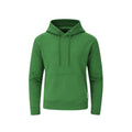 Sudadera Adulto con Capucha Dretius - VERDE
