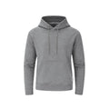 Sudadera Adulto con Capucha Dretius - GRIS