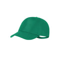 Gorra Dibux - VERDE