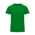 Camiseta Adulto Color Stiles - VERDE