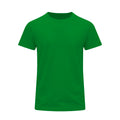 Camiseta Adulto Color Perkins - VERDE