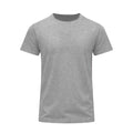 Camiseta Adulto Color Perkins - GRIS