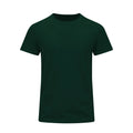 Camiseta Adulto Color Perkins - VERDE BOTELLA