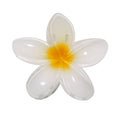 Pinza Tixcon - FLOR