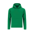 Sudadera Niño Draco - VERDE