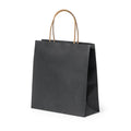 Bolsa Fortis - NEGRO