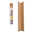 Set Bombónes Semillas Dinaclex - S/C