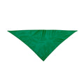 Pañoleta Plus - VERDE