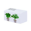 Set Macetas Nertel - S/C
