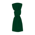Foulard Ribban - VERDE