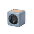 Altavoz Seynol